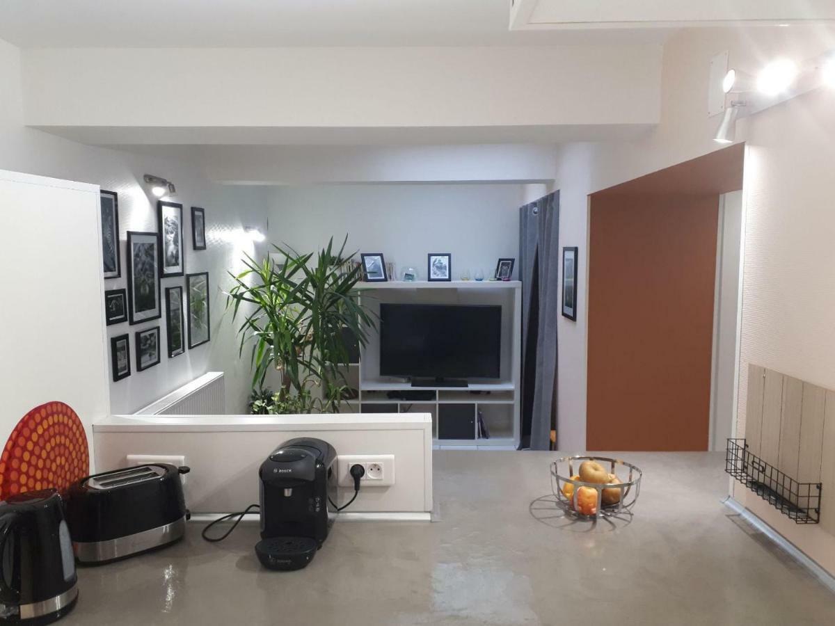 Le Souplex Apartment Troyes Ngoại thất bức ảnh