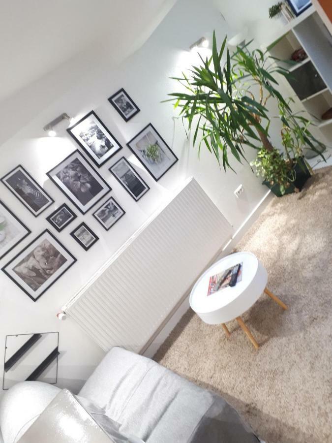 Le Souplex Apartment Troyes Ngoại thất bức ảnh