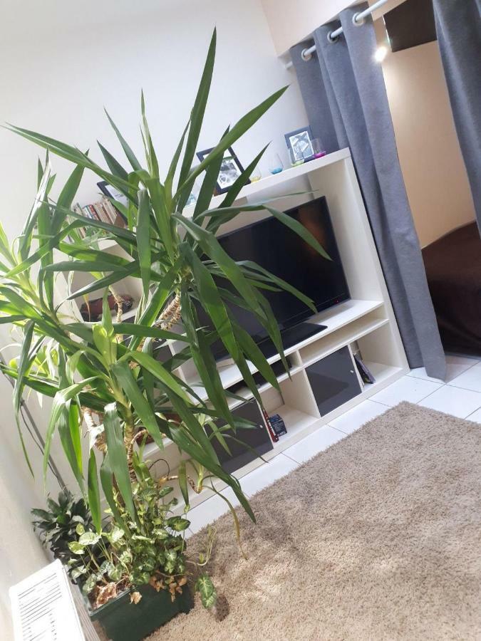 Le Souplex Apartment Troyes Ngoại thất bức ảnh